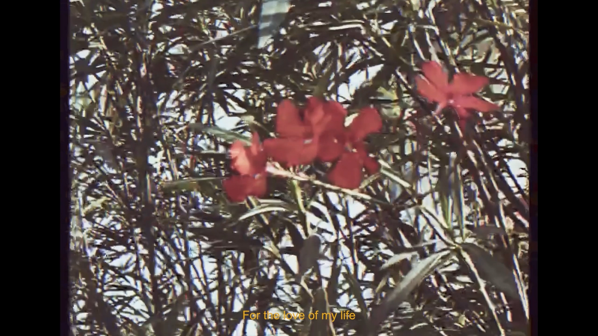 Still 01