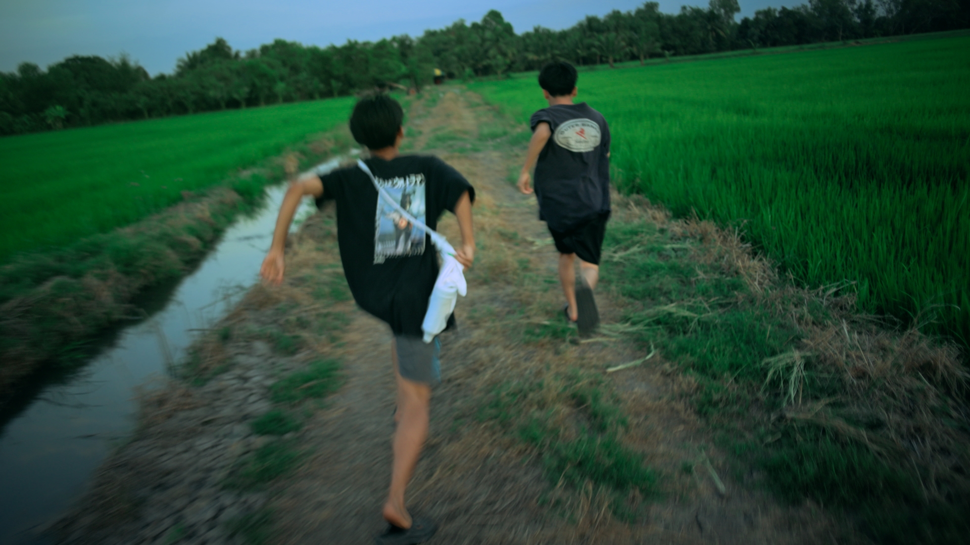 Still 01