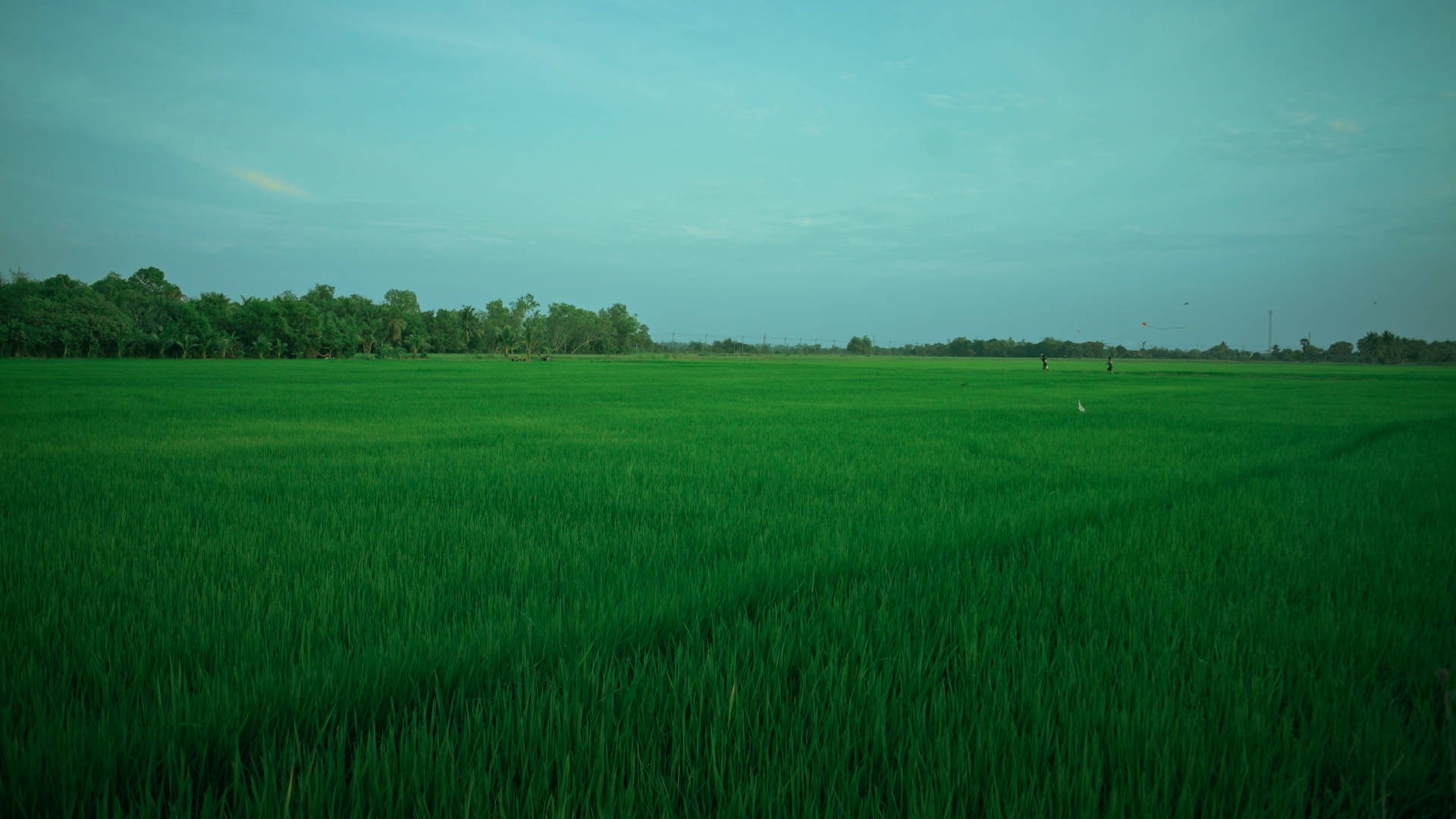 Still 01