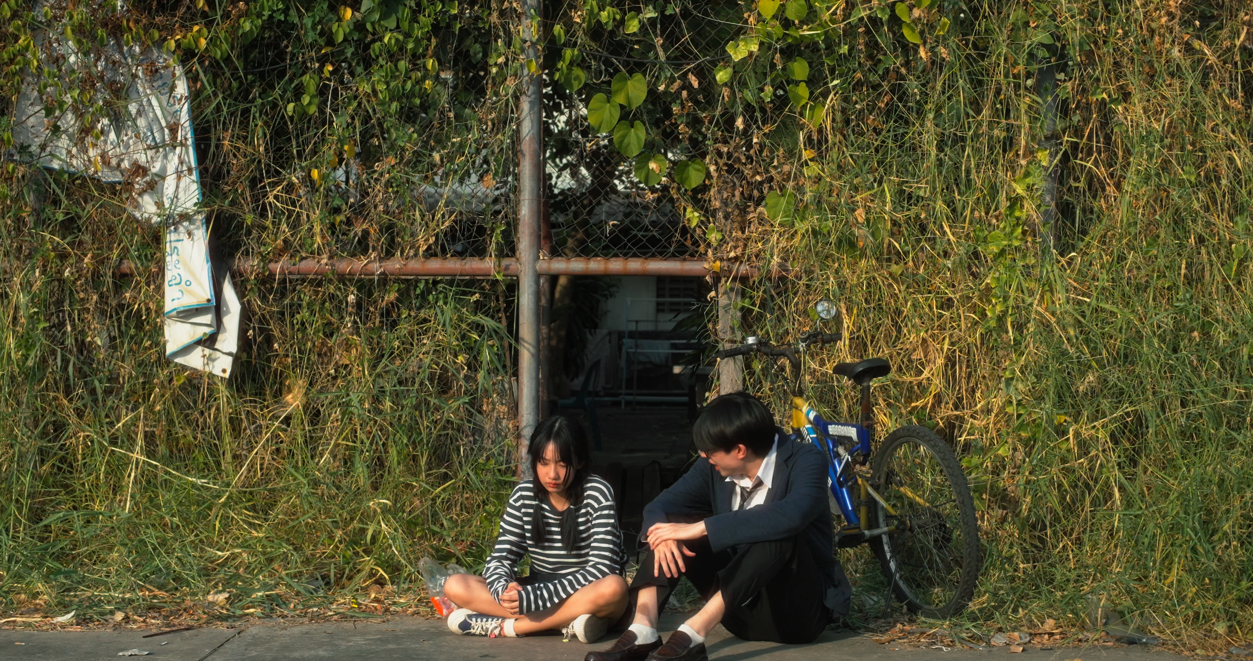 Still 01