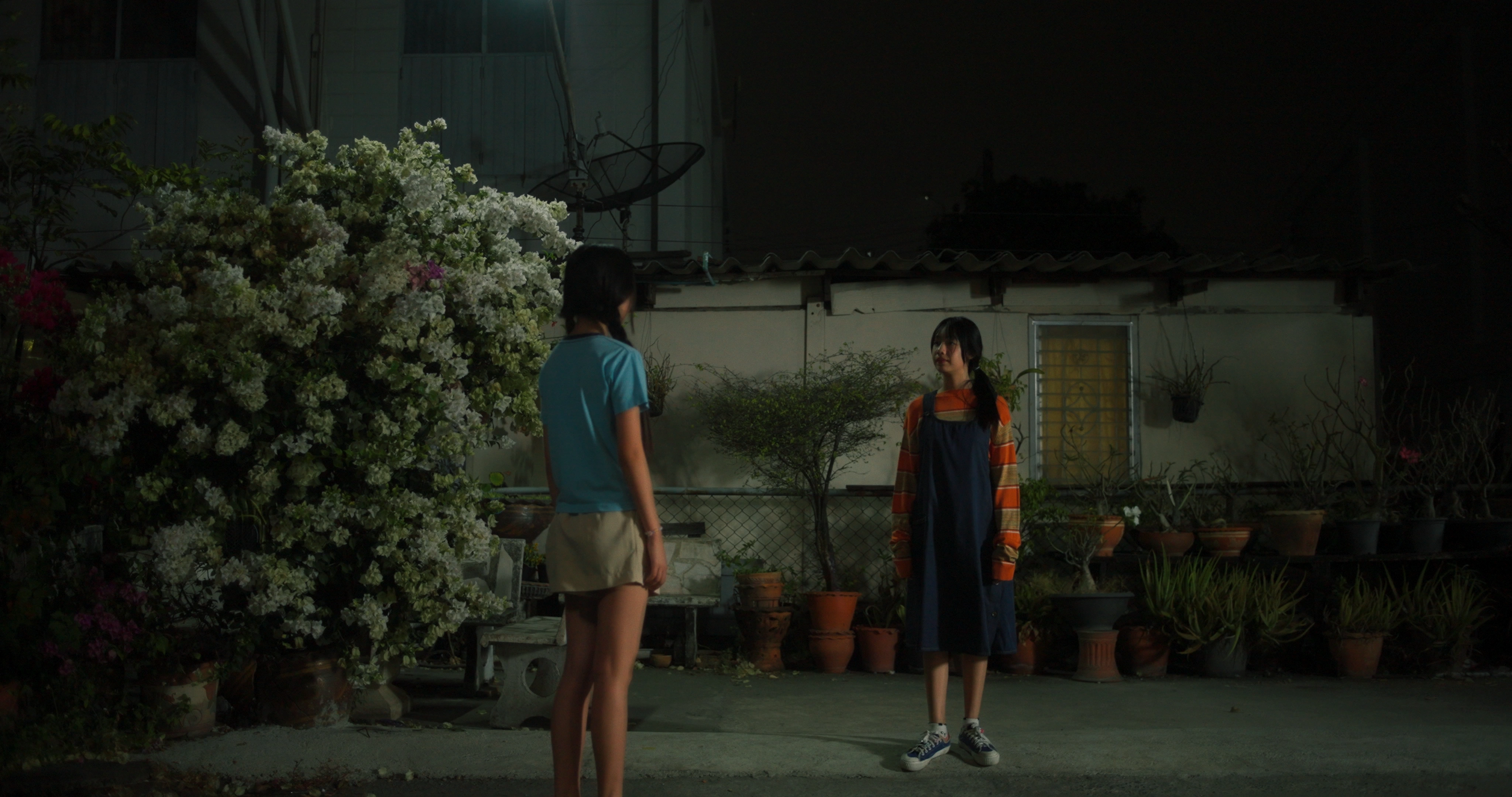Still 01